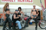 Enlarge Pic!